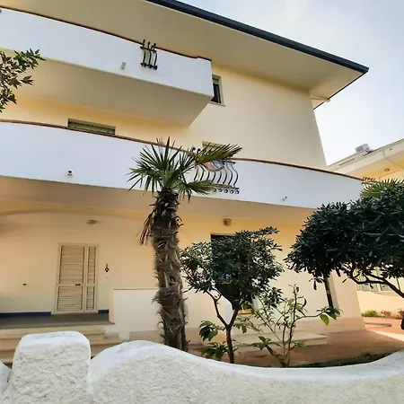 Vespucci Bilo - Myho Casa Tortoreto
